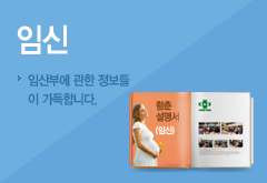 임신설명서